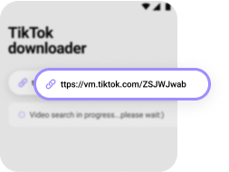 Convert TikTok Video to MP4